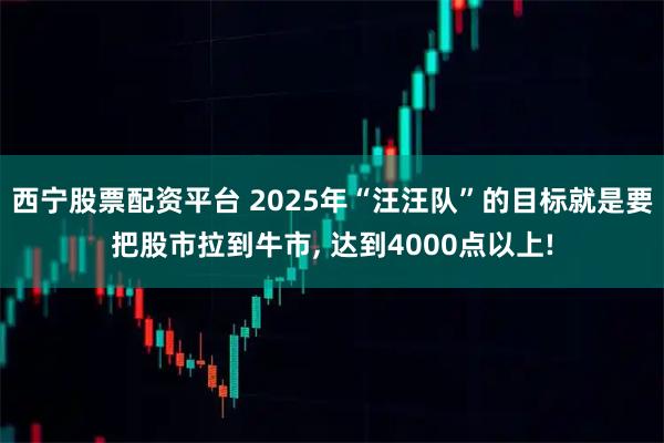 西宁股票配资平台 2025年“汪汪队”的目标就是要把股市拉到牛市, 达到4000点以上!